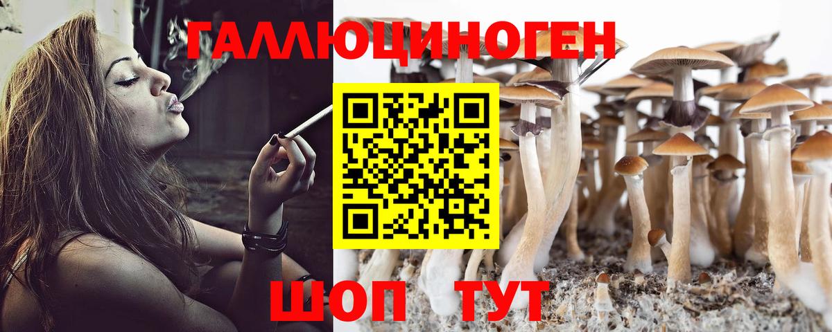 Галлюциногенные грибы Psilocybine cubensis  Вход с VPN  Балахна 